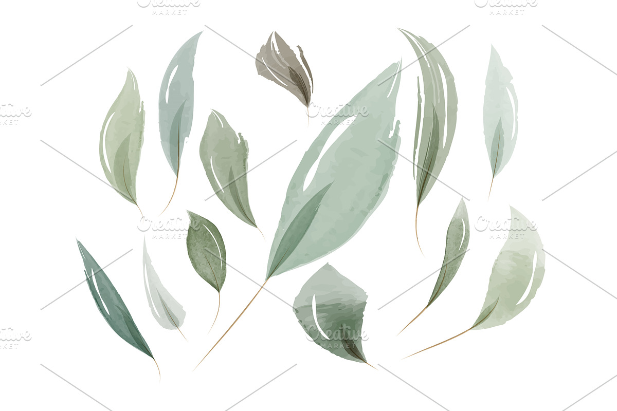 Delicate watercolor leaves painted, an Object Illustration by okskukuruza