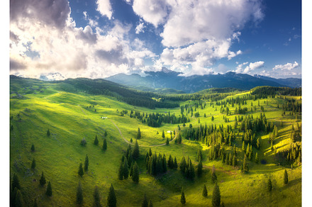 Aerial view of green alpine meadows, a Nature Photo by den-belitsky