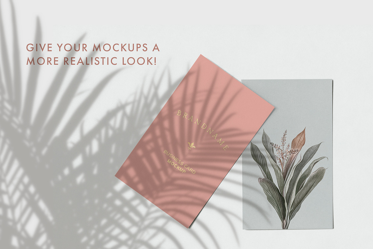 30 Botanical Shadow Overlays, a Mockup by Megs Lang (Photo 2 of 8)