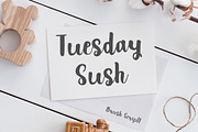 Tuesday Sush - Brush Script Font, a Script Font by Dasagani (Thumbnail 1 of 5)