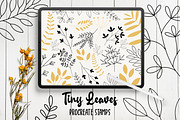 Procreate Botanical Stamps Bundle, a Brush Add-On by Little Nordic Atelier (Thumbnail 7 of 13)