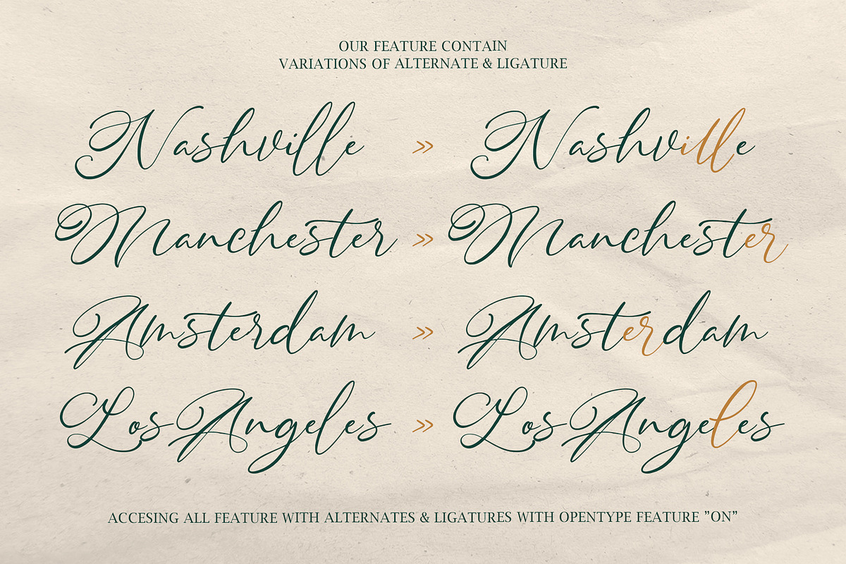 Daisy Wonder – Modern Handwritten, a Handwritten Font by Inviline.co (Photo 9 of 10)
