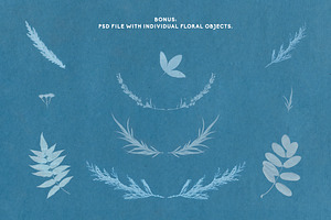 FLORAL Cyanotype Backgrounds