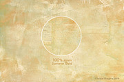Summer Afternoon Textures Pack, a Texture Graphic by Travel Illustration Shop (Thumbnail 13 of 17)