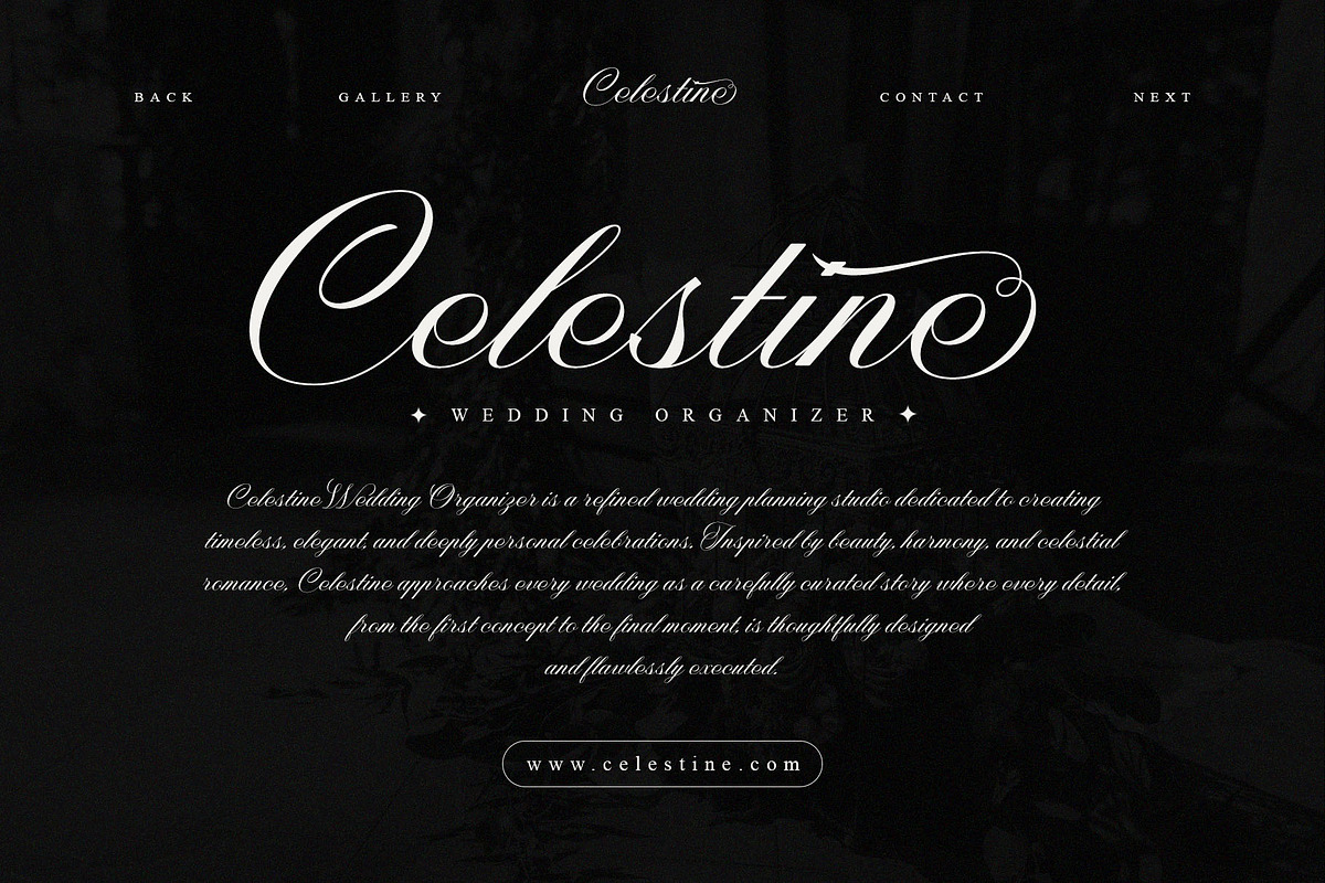 Nightshade – Elegant Calligraphy, a Script Font by Krismagraph (Photo 2 of 10)