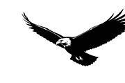 Powerful eagle flying wall art desig, an Illustration by Amazin_art (Thumbnail 5 of 31)