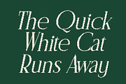 CS Rottage Pixel, a Serif Font by Craft Supply Co. (Thumbnail 2 of 8)
