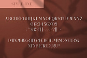 Kindel - Completed Collection, a Serif Font by VP Fonts (Thumbnail 10 of 44)