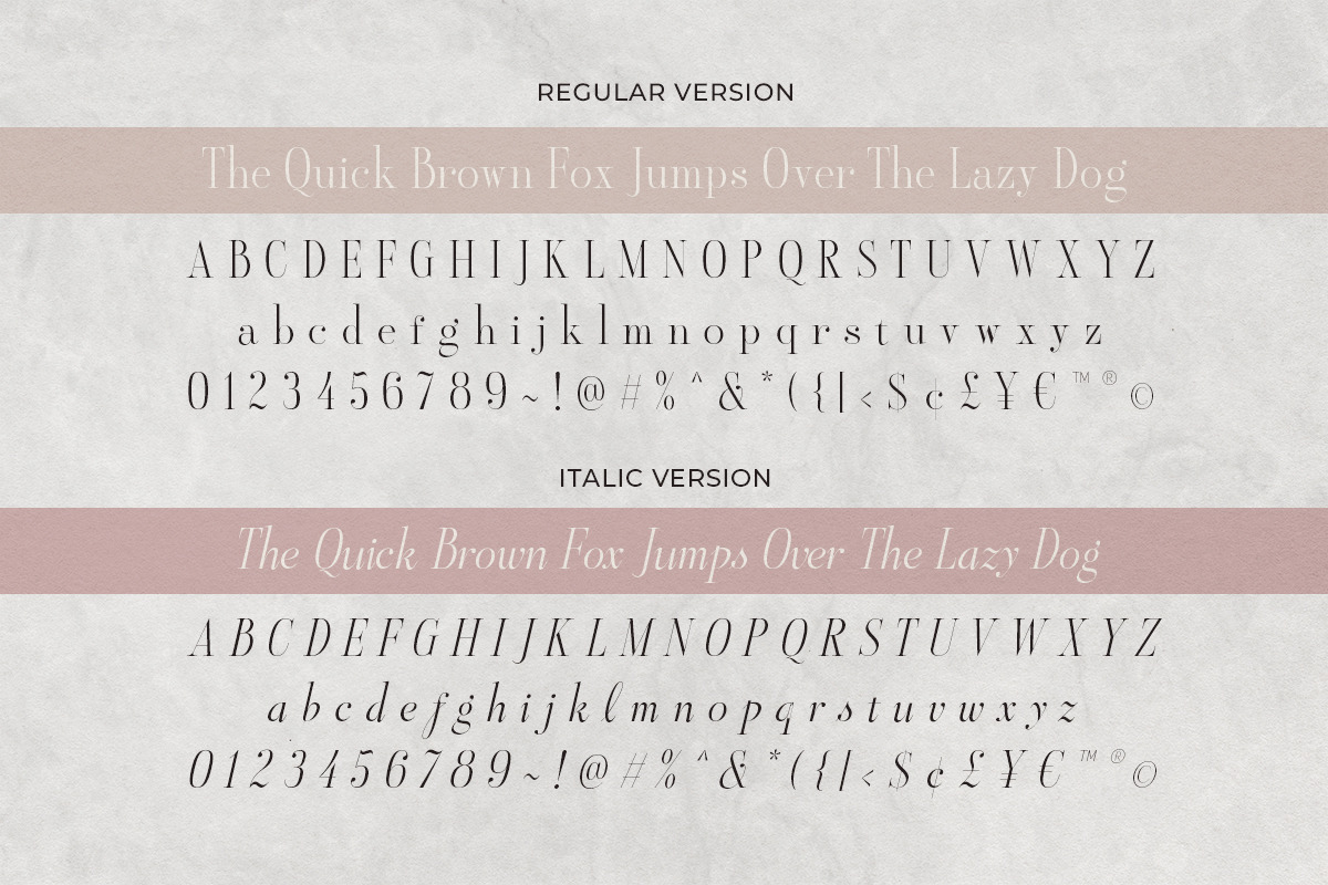 Aesthetic Styles - Tall Serif, a Serif Font by Sarid Ezra (Photo 10 of 11)