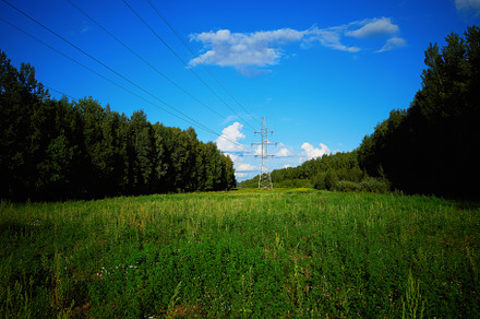 Power lines in summer forest background, a Nature Photo by RETROWAVE '88