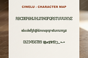 Ciwelu | A Sophisticated Serif, a Serif Font by Astuti Studio (Thumbnail 3 of 25)