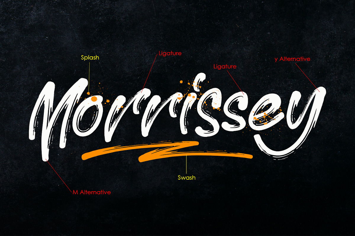 Morrissey preview 8