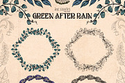 Green After Rain Botanical Set, an Object Illustration by Ink Stories (Thumbnail 6 of 13)