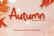 Autumn | Handdrawn Font with Doodles, a Script Font by rulihoki studio (Thumbnail 1 of 8)