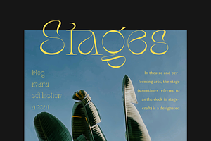 Stager - Unique Classy Serif