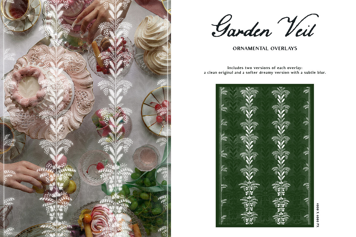 Garden Veil: Lace Overlays, a Texture Graphic by Purple (Photo 9 of 16)
