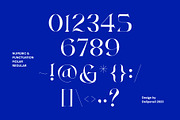 MOLAR - Modern Serif Typeface, a Serif Font by delipensil (Thumbnail 9 of 9)