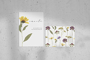 Pressed Dry Flowers & Leaves, an Object Graphic by Katya_lu (Thumbnail 5 of 8)
