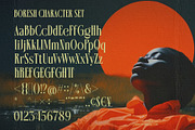 Boresh - Condensed Serif Font, a Serif Font by Almeera Std (Thumbnail 3 of 6)