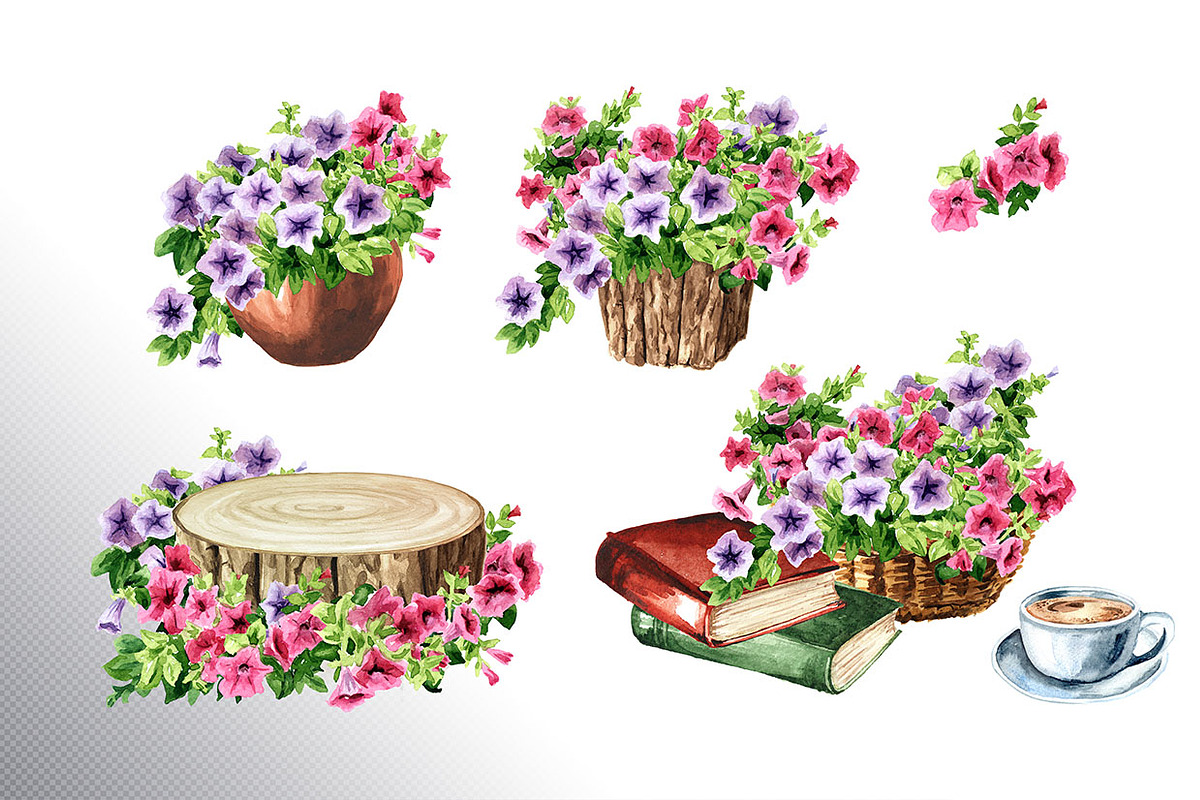 Rustic Collection, an Illustration by Daria Ustiugova (Photo 7 of 12)