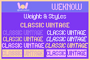 Classic Vintage Font, a Sans Serif Font by weknow (Thumbnail 8 of 9)