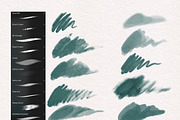 Realistic Procreate Digital Brushes, a Brush Add-On by Shelly Laslo Illustration (Thumbnail 4 of 7)