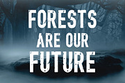 The Forest Hunter, a Font by Limited.studio (Thumbnail 4 of 7)