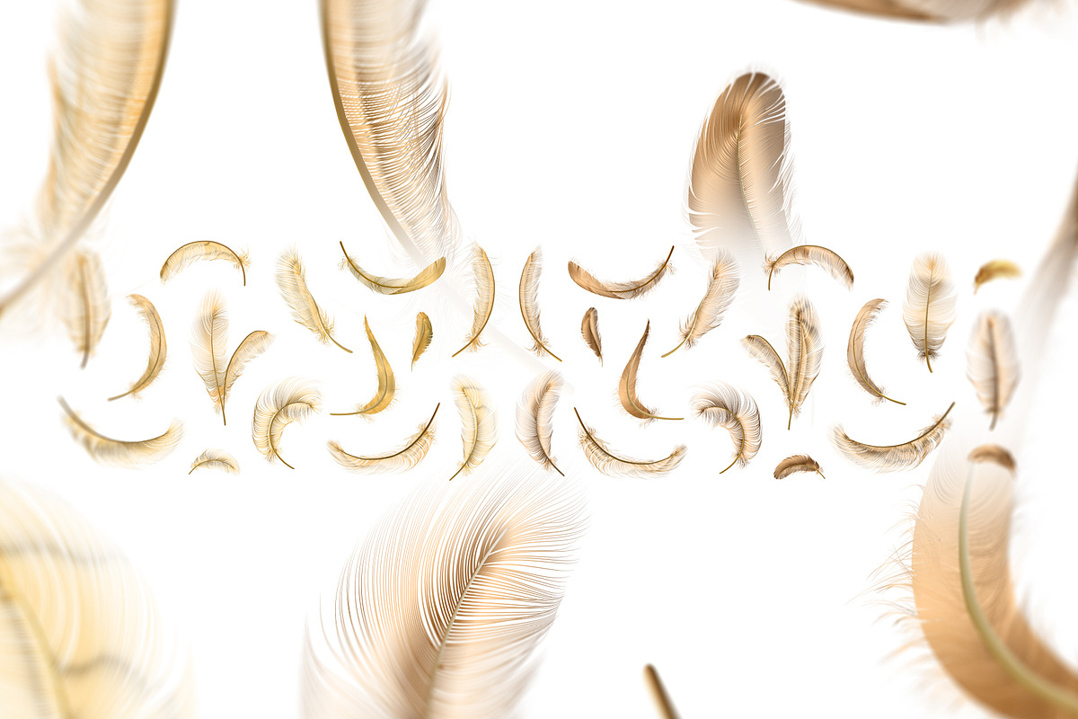 Gold Feathers collection (eps + png), an Object Graphic by Gluiki (Photo 2 of 2)