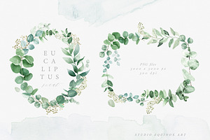 Scent Of Eucalyptus - Graphic Set