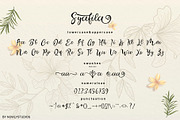 Syafila Script, a Script Font by Nowlystudios (Thumbnail 7 of 8)