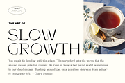 TAN - TWINKLE, a Serif Font by TanType (Thumbnail 5 of 10)