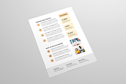 Nonprofit Organization Fact Sheet, a Flyer Template by Leaflove (Thumbnail 3 of 5)