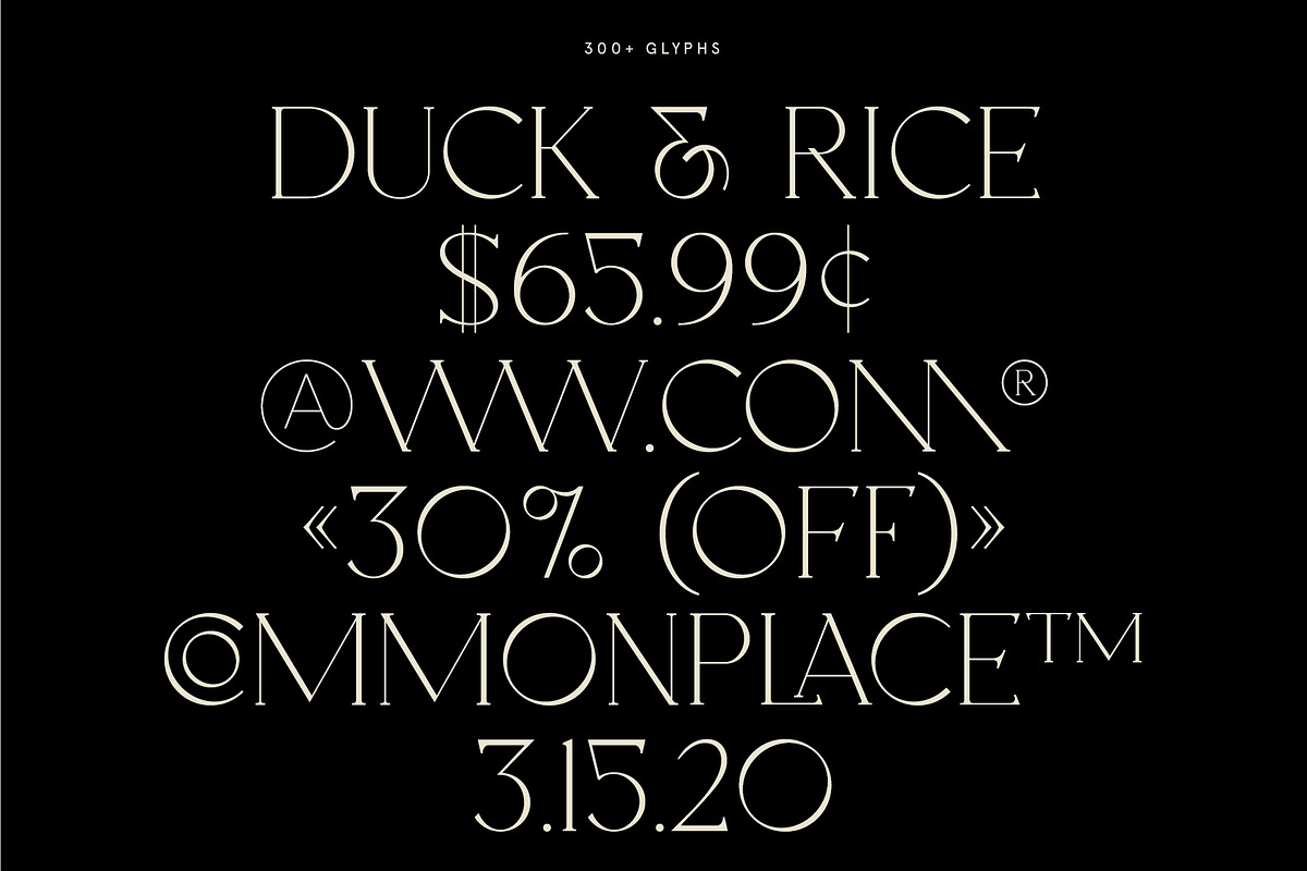 Oakland - Decorative Display Serif preview 4