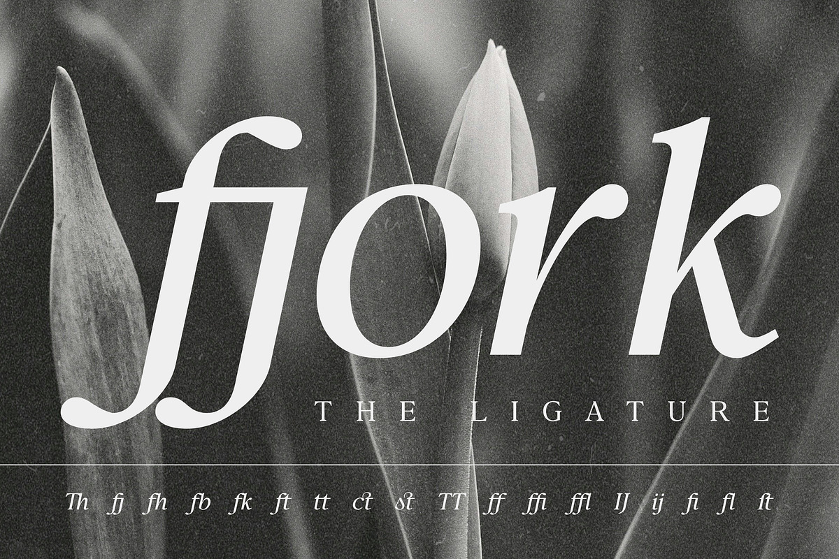 Confirm Serif (42 fonts), a Font by Dora Typefoundry (Photo 7 of 12)