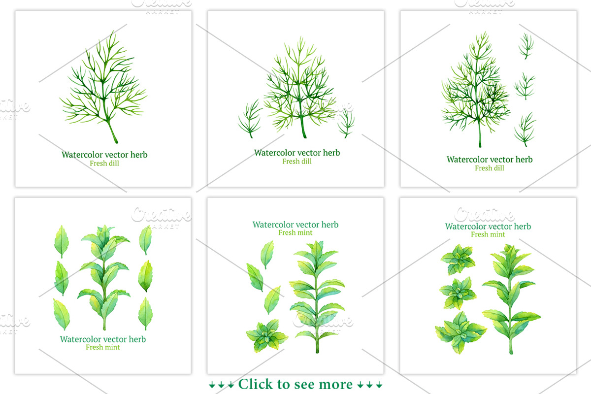 30% Off! Fruits + Vegetables + Herbs, a Food Illustration by Evgeniia Zagreeva (Photo 12 of 12)