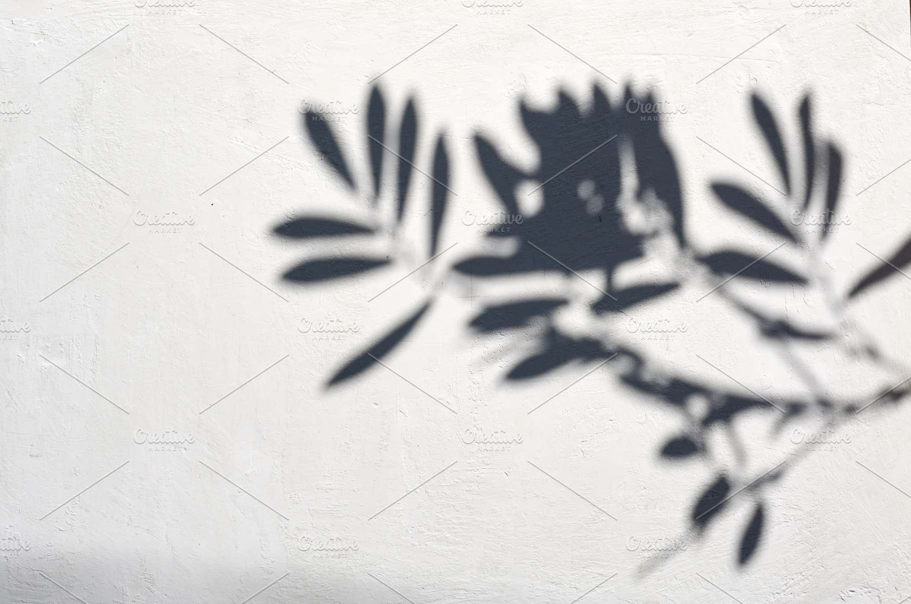 Shadow of a branch with leaves on a light textured wall, an Abstract Photo by ndanko