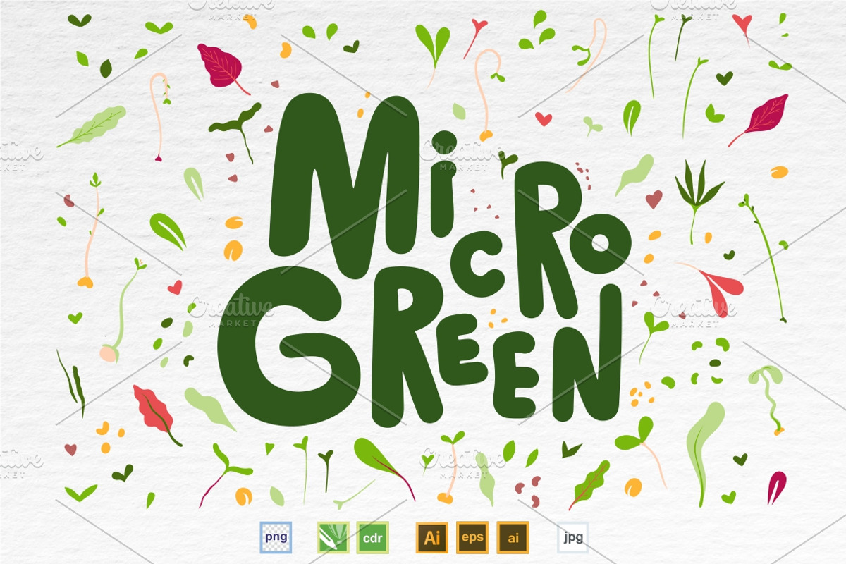 Microgreens Logo Vector Set, an Object Illustration by ElenaKovalyova (Photo 8 of 16)