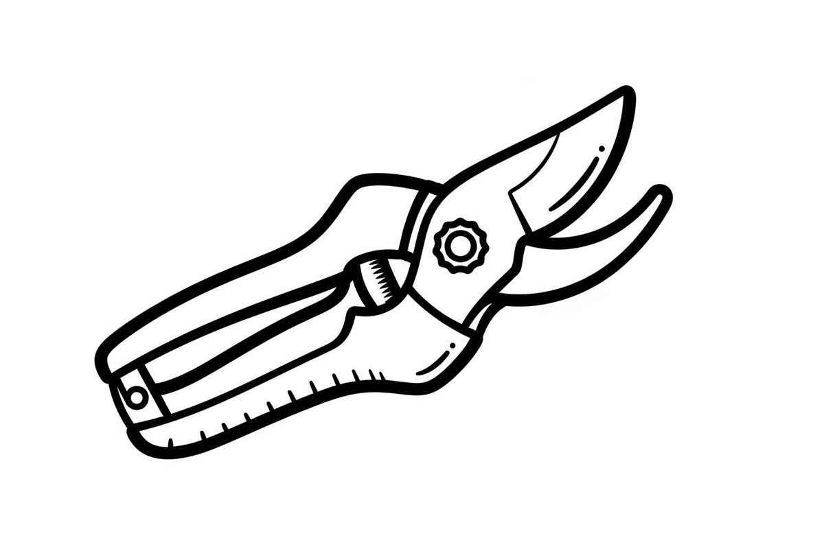 50 Professional Garden Shears Vector, an Illustration by hafijul (Photo 31 of 51)