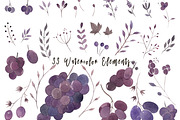 Watercolor Persian Grapes, an Object Graphic by Zahra Makes (Thumbnail 2 of 3)