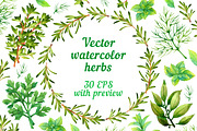 30% Off! Fruits + Vegetables + Herbs, a Food Illustration by Evgeniia Zagreeva (Thumbnail 11 of 12)