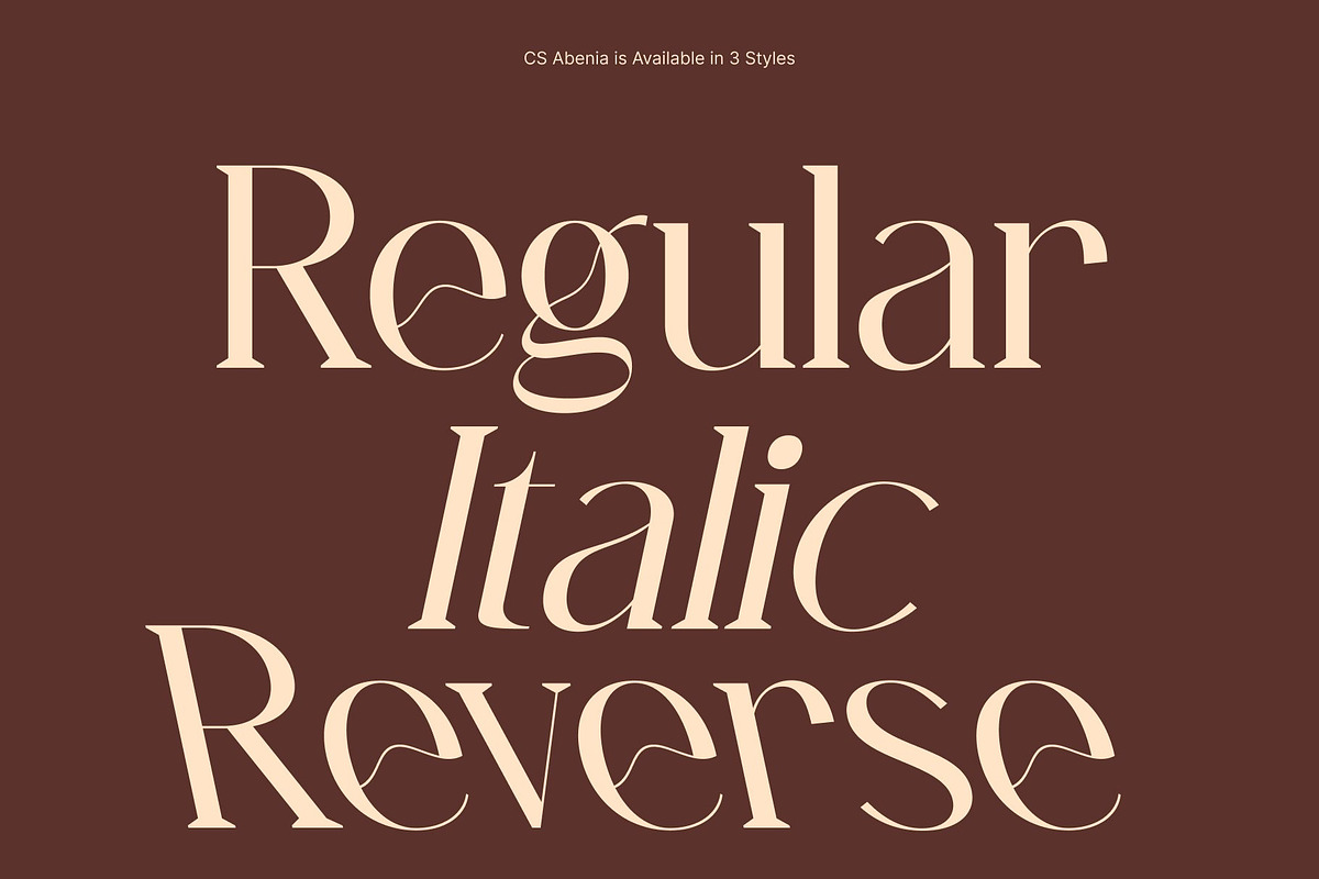 CS Abenia – Elegant Serif Font, a Serif Font by Craft Supply Co. (Photo 4 of 8)