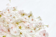 Styled photos bundle, a Background Photo by Bubert Art (Thumbnail 5 of 12)