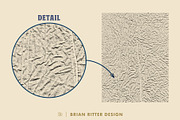 Crumpled & Creased Paper Overlays, a Texture Graphic by Brian Ritter Design (Thumbnail 6 of 12)