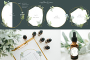 Fresh greenery frames and patterns, a Decorative Illustration by marie dricot (Thumbnail 4 of 16)