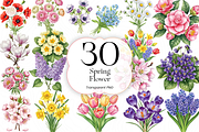Spring Flower PNG Clipart Watercolor, an Object Illustration by KennedyStudio (Thumbnail 1 of 4)