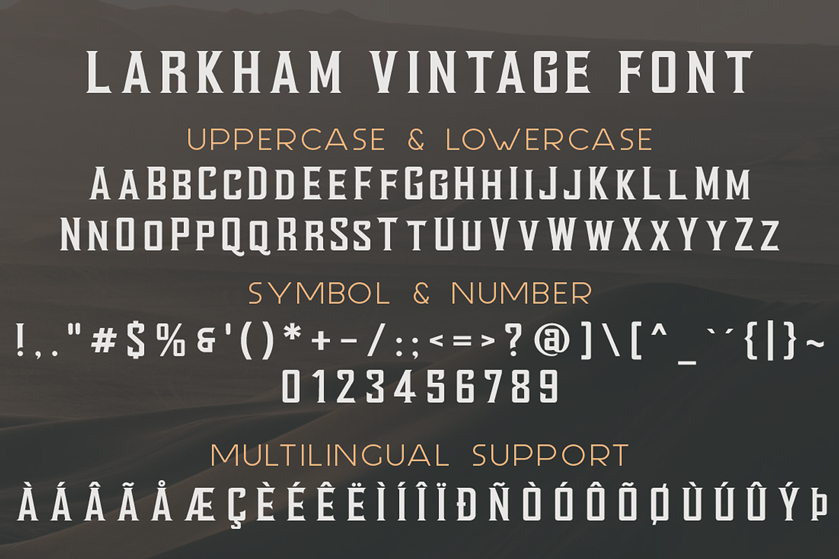Larkham Vintage Font, a Serif Font by GlitzyGrapix (Photo 7 of 10)
