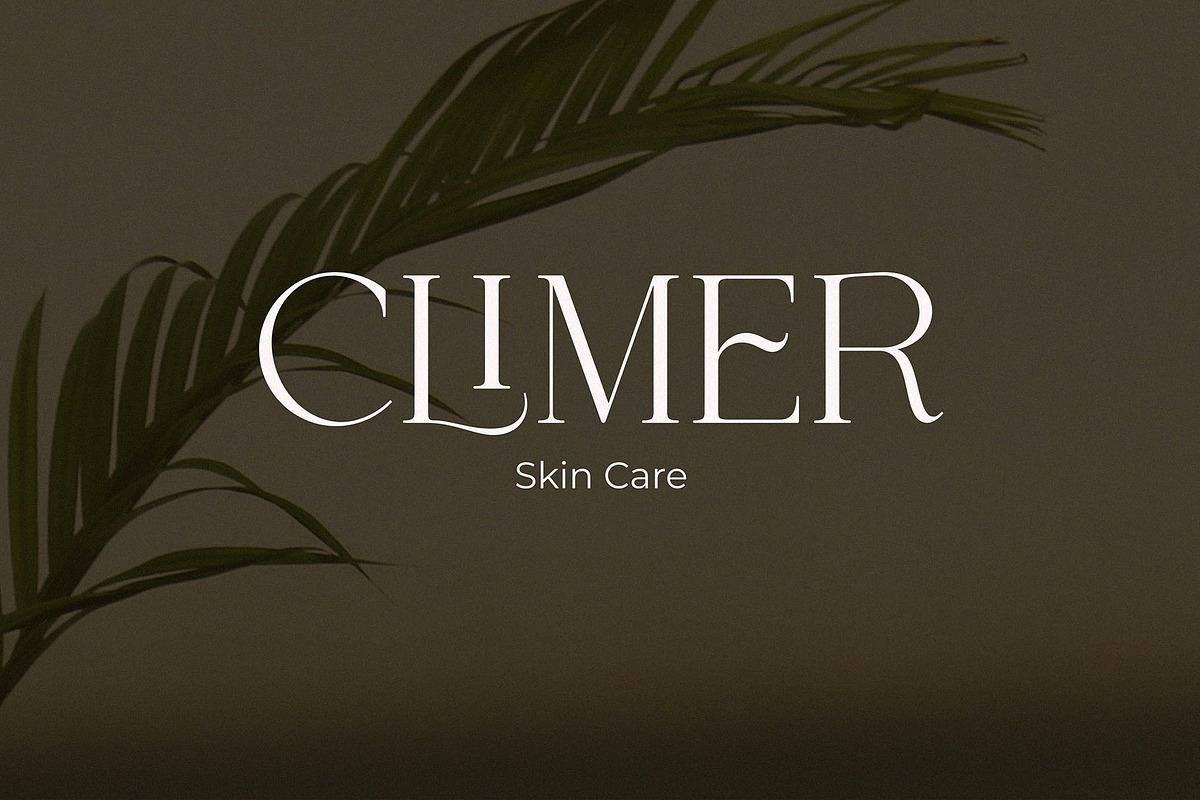 Equila || Display Ligature Serif, a Serif Font by ToniStudio (Photo 3 of 10)