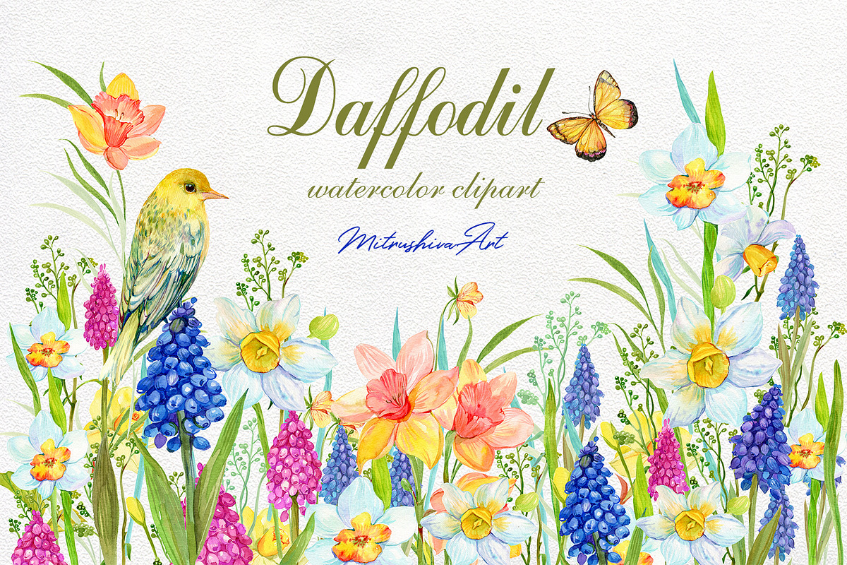 Daffodil  Narcissus  Watercolour, an Illustration by MitrushovaArt (Photo 1 of 7)