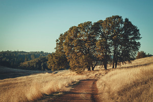 Cronan ranch trail 1 containing hills, california, and hike