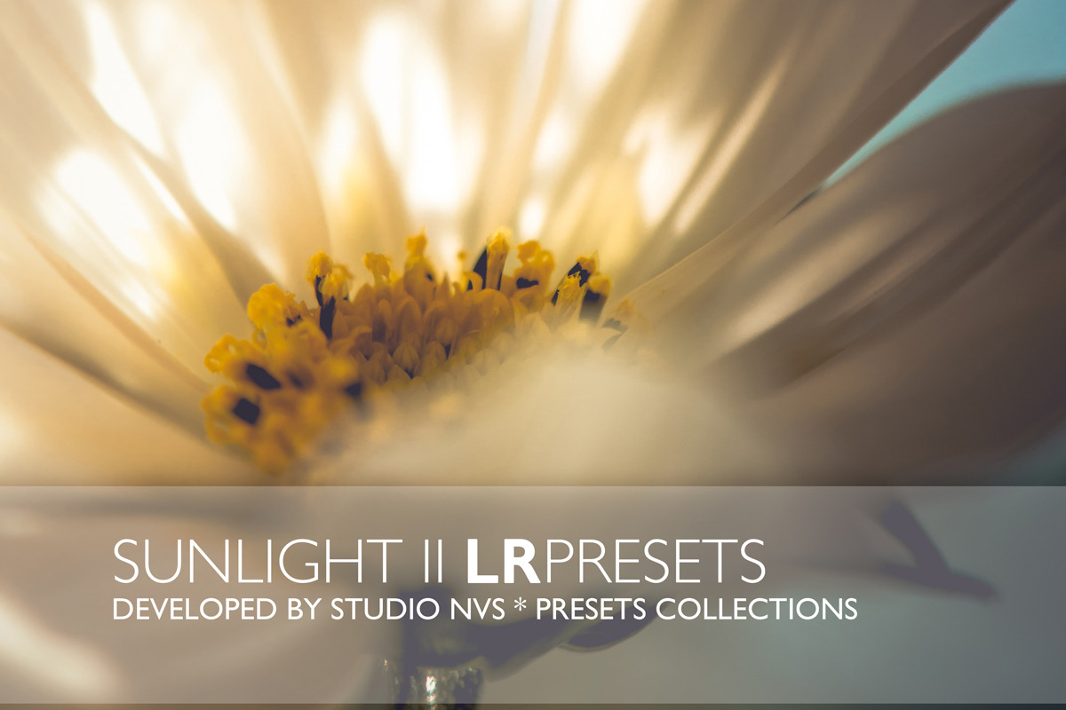 45 Sunlight II Lightroom Presets